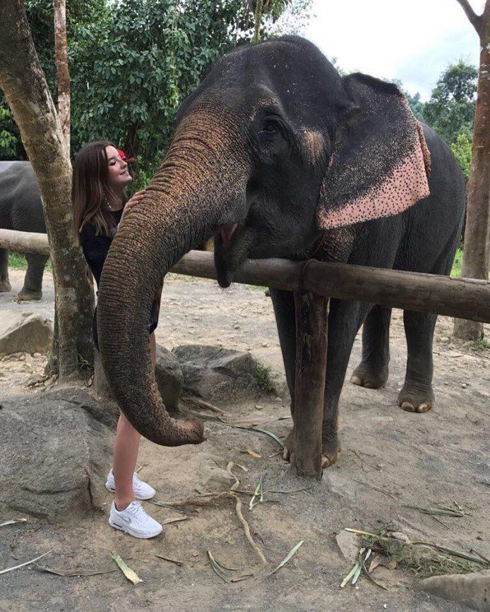 Семья Стриженовых устроила фотосессию со слонами в Таиланде