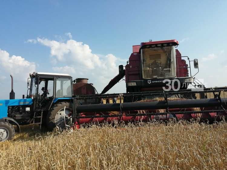 В Татарстане комбайнер потушил сельхозтехнику, вспыхнувшую при уборке пшеницы
