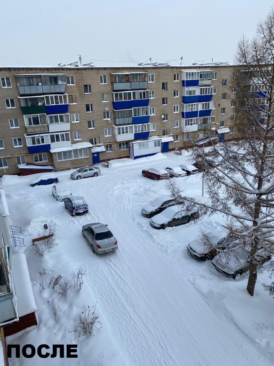 Житель Лениногорска через социальные сети обратился с жалобой по вопросу уборки снега