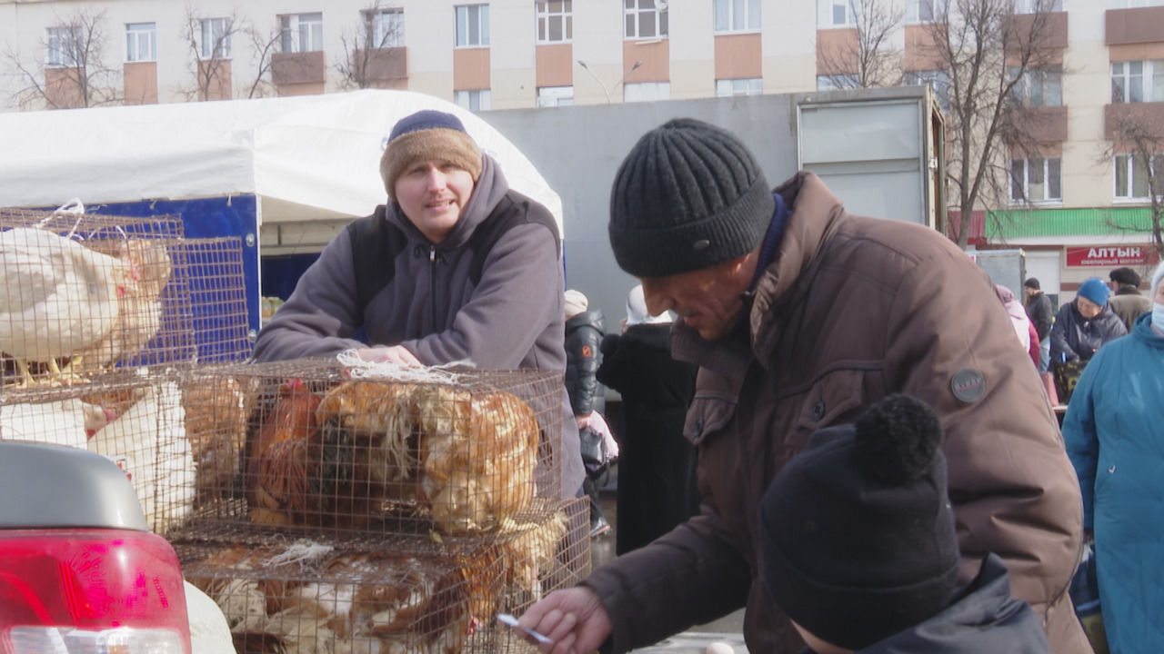 Весенняя сельскохозяйственная ярмарка прошла в Лениногорске