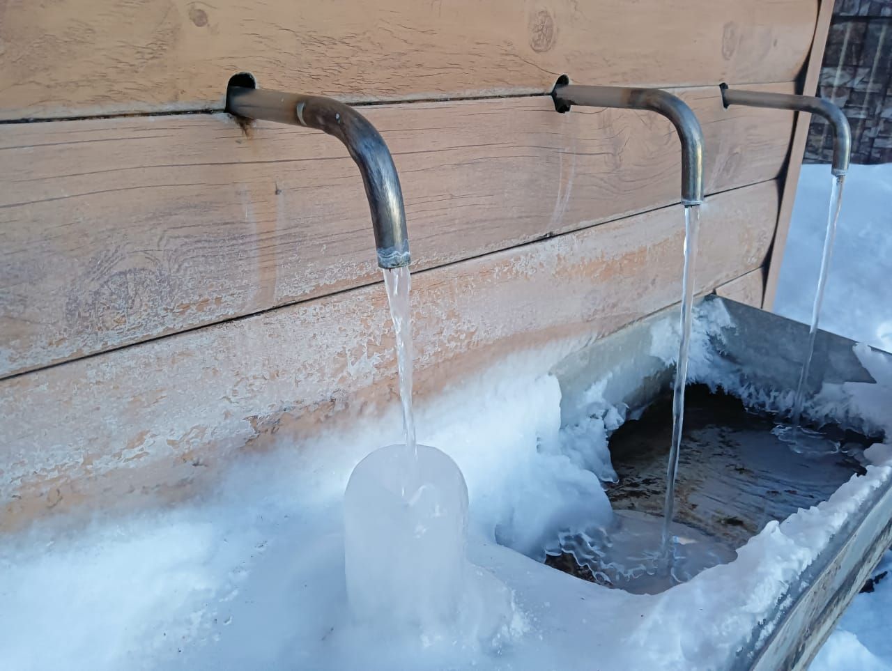 Жители Лениногорска набирают целебную воду с родника в лесопарке
