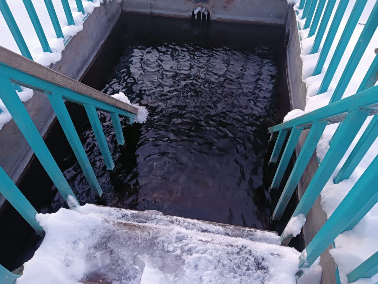 Жители Лениногорска набирают целебную воду с родника в лесопарке