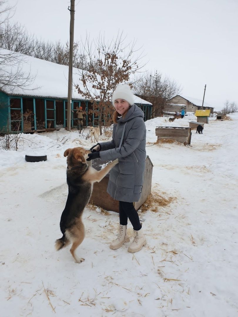 Юные лениногорцы покормили и погуляли с собаками в приюте «Верный друг»