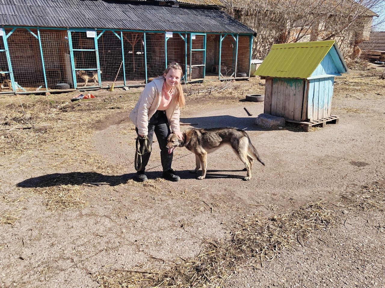 В Лениногорске специалисты психологического центра «Логос» оказали помощь бездомным животным