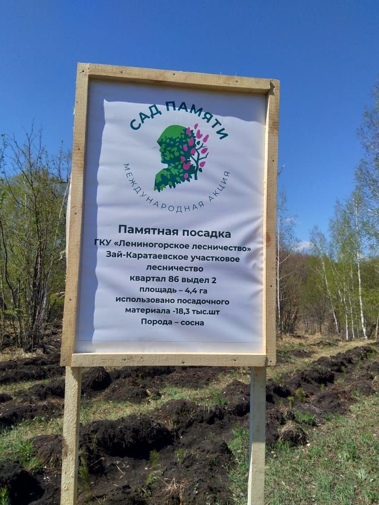 В Лениногорском районе состоялась Всероссийская акция «Сад памяти»