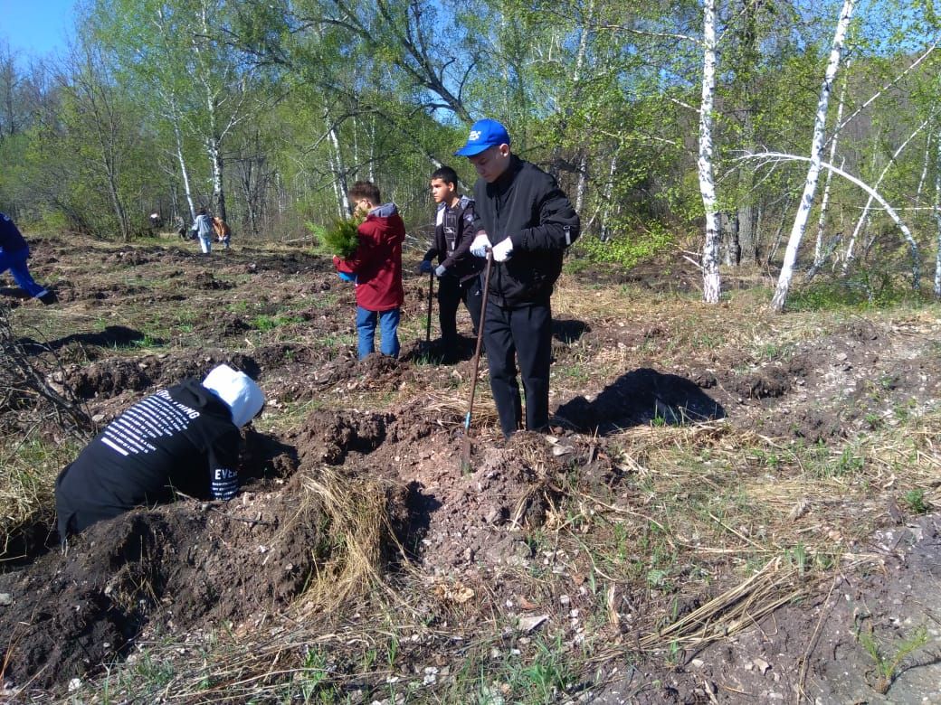 В Лениногорском районе состоялась Всероссийская акция «Сад памяти»
