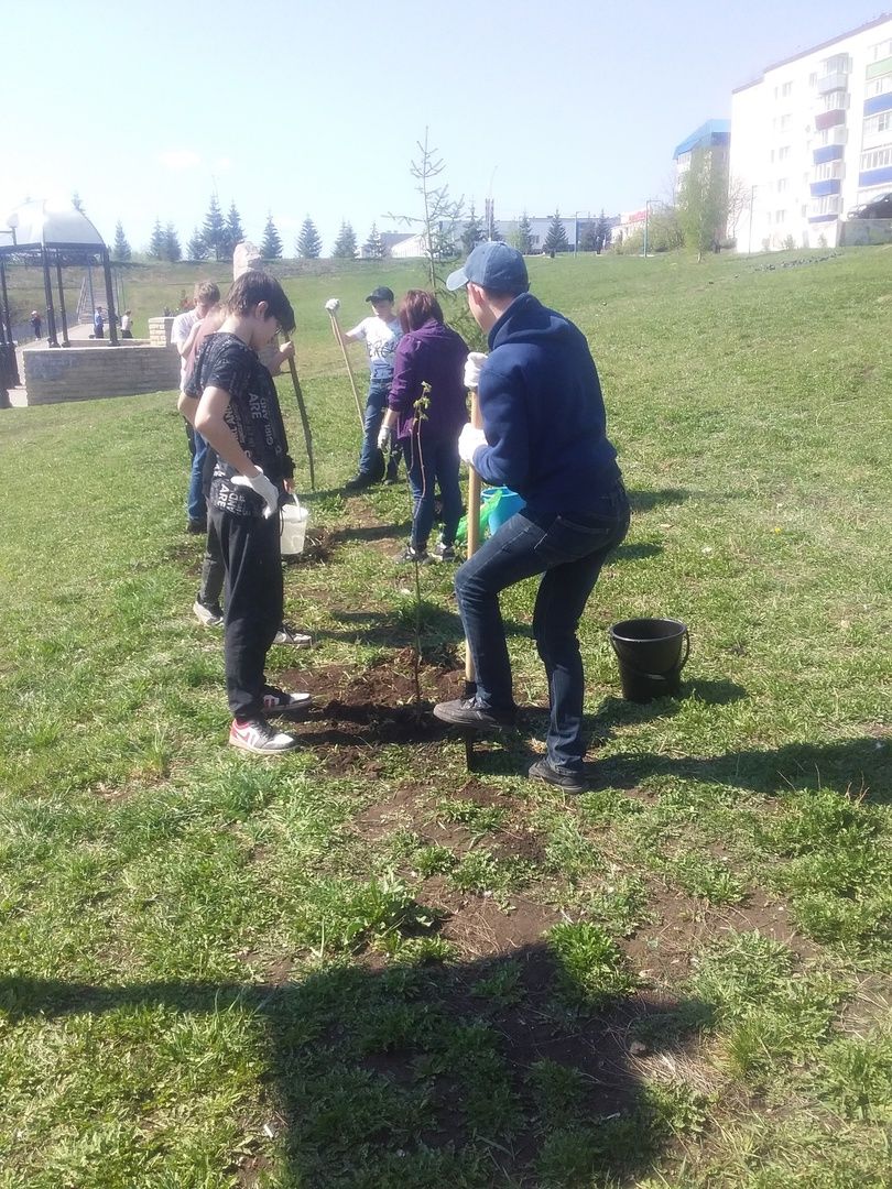 В Лениногорске активисты Центра «Логос» в рамках акции «Сад Памяти» сажали саженцы деревьев