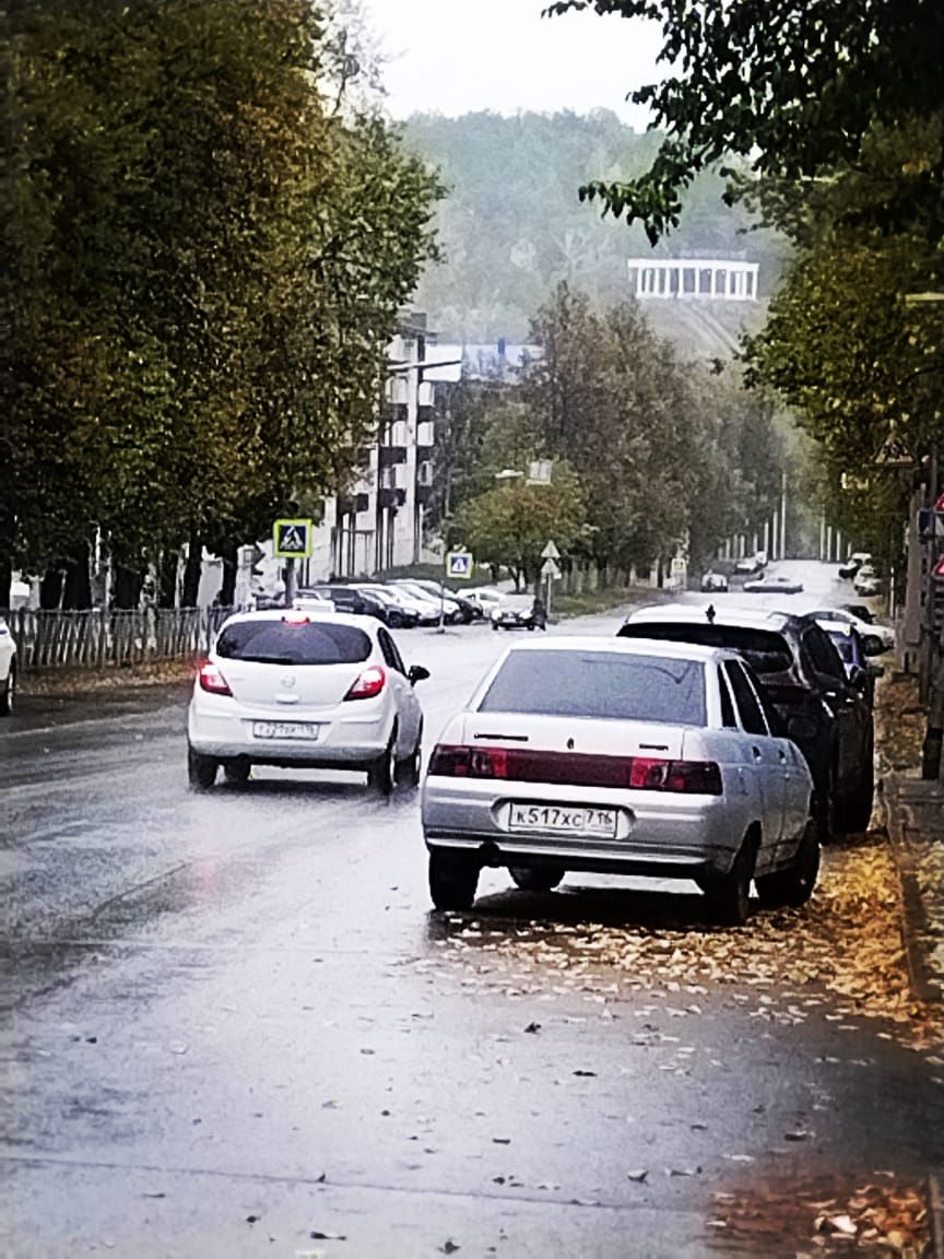 По словам метеорологов, сегодня на Лениногорск обрушатся грозы с ливнями