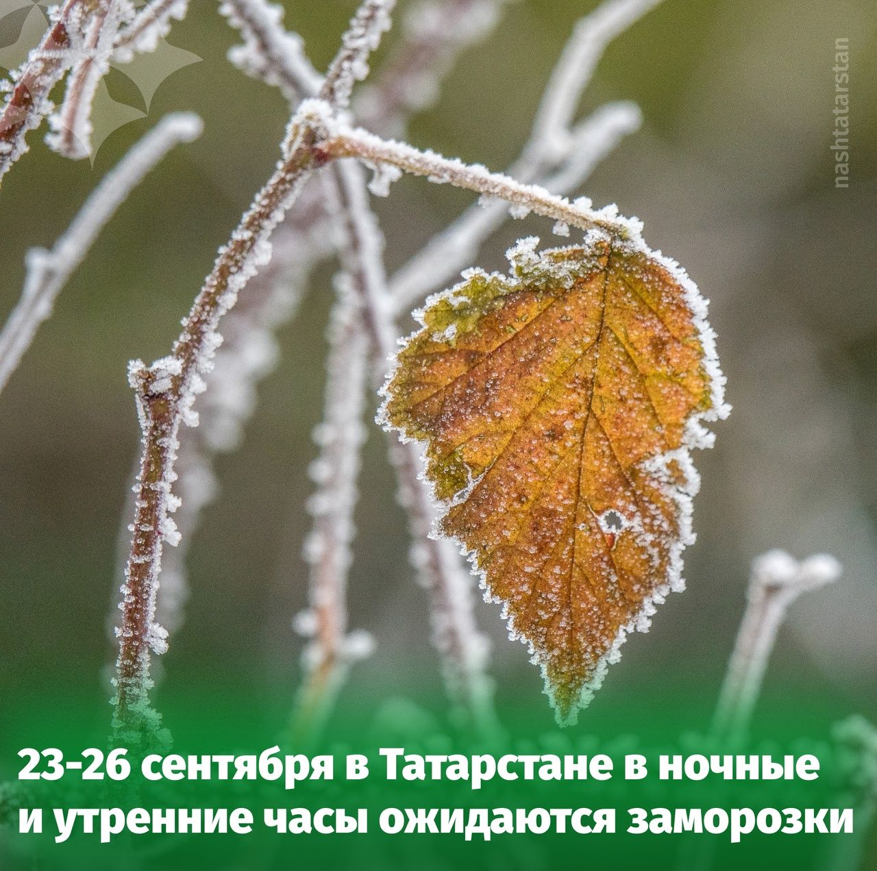 В Татарстане продолжает действовать штормовое предупреждение о заморозках