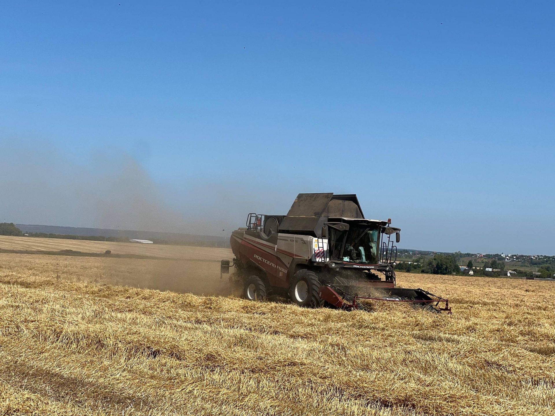 Индекс производства сельскохозяйственной продукции в Татарстане вырос на 7% по отношению к прошлому году