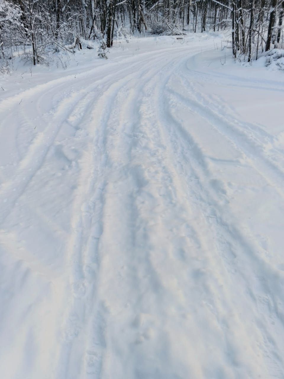 В Лениногорске водители квадроциклов портят лыжню