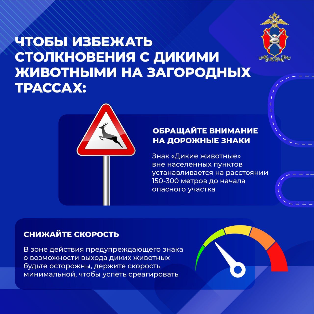 Как избежать столкновения с дикими животными на загородных трассах?