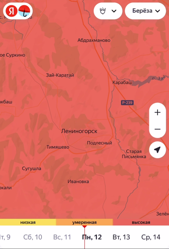 Лениногорск накрыла Берёзовая пыльца