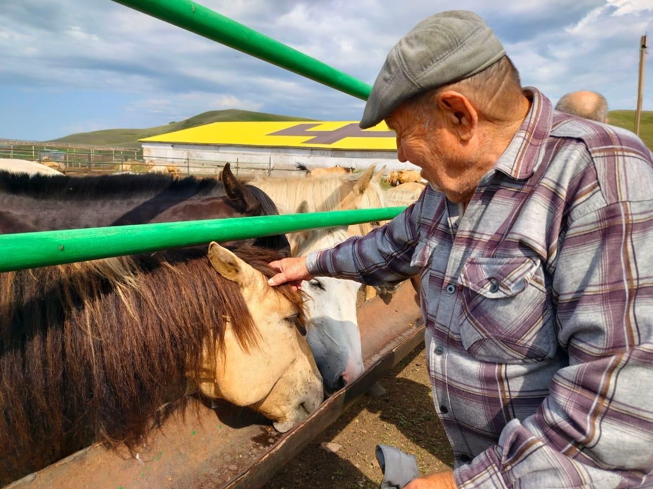 Жители дома-интерната для престарелых и инвалидов Лениногорска побывали в конном дворике