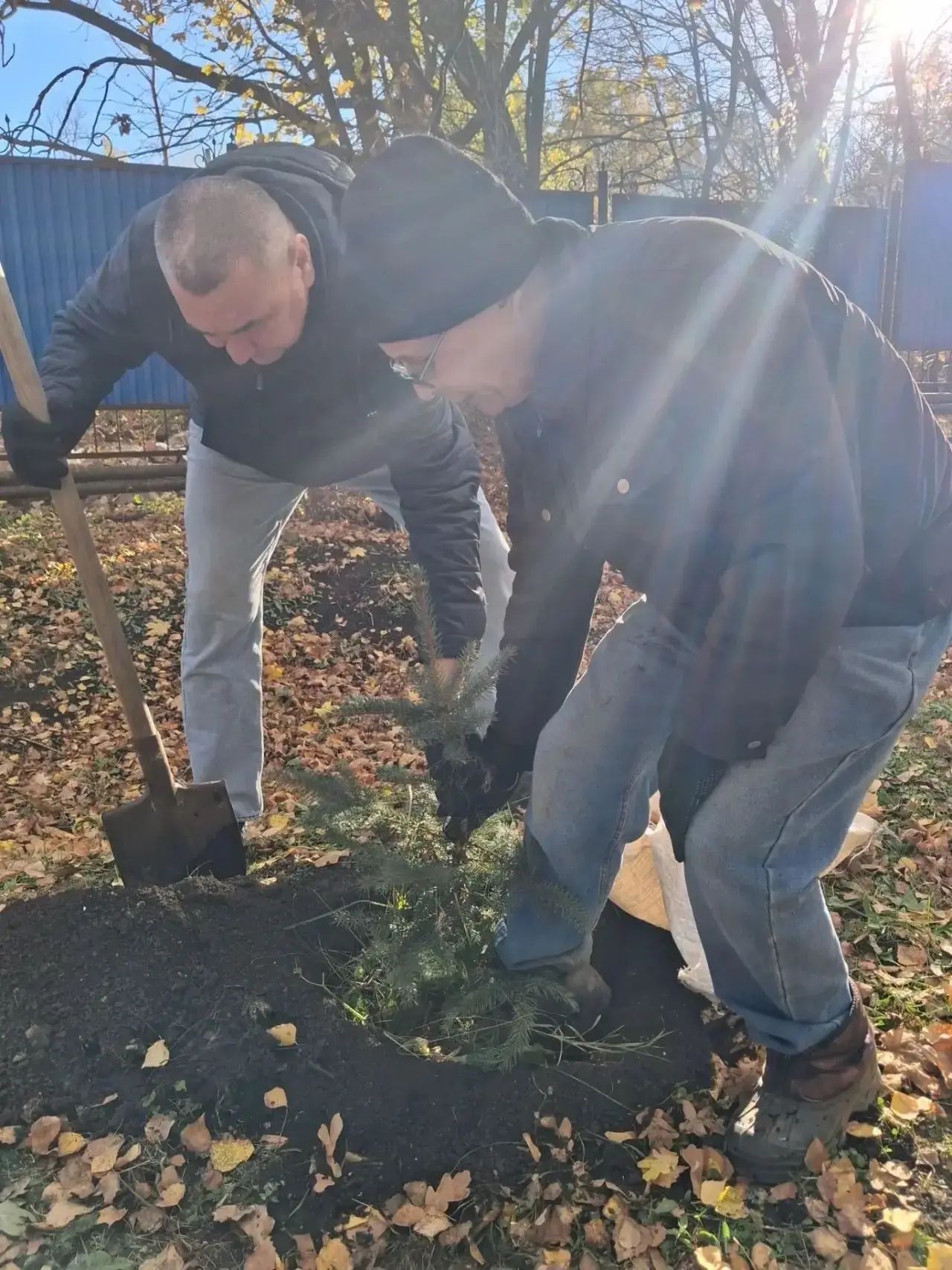 В Лениногорске постояльцы дома-интерната посадили на своем участке ели