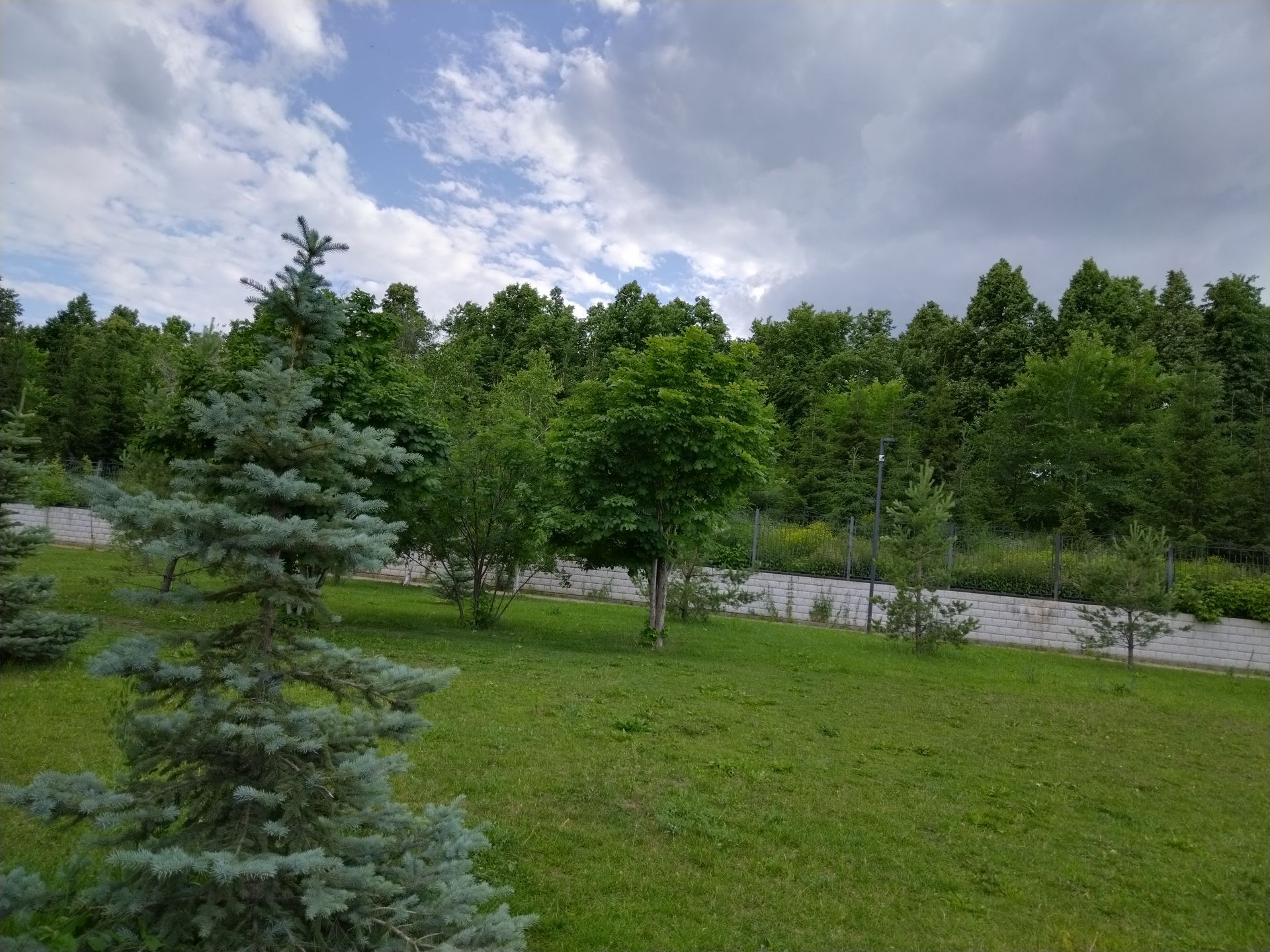 По нацпроекту  татарстанские  леса будут восстановлены на площади 1,2 тысяч гектаров