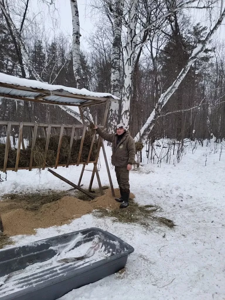 В Лениногорском районе посчитали, сколько сена и зерна ушло зимой на подкормку диких зверей