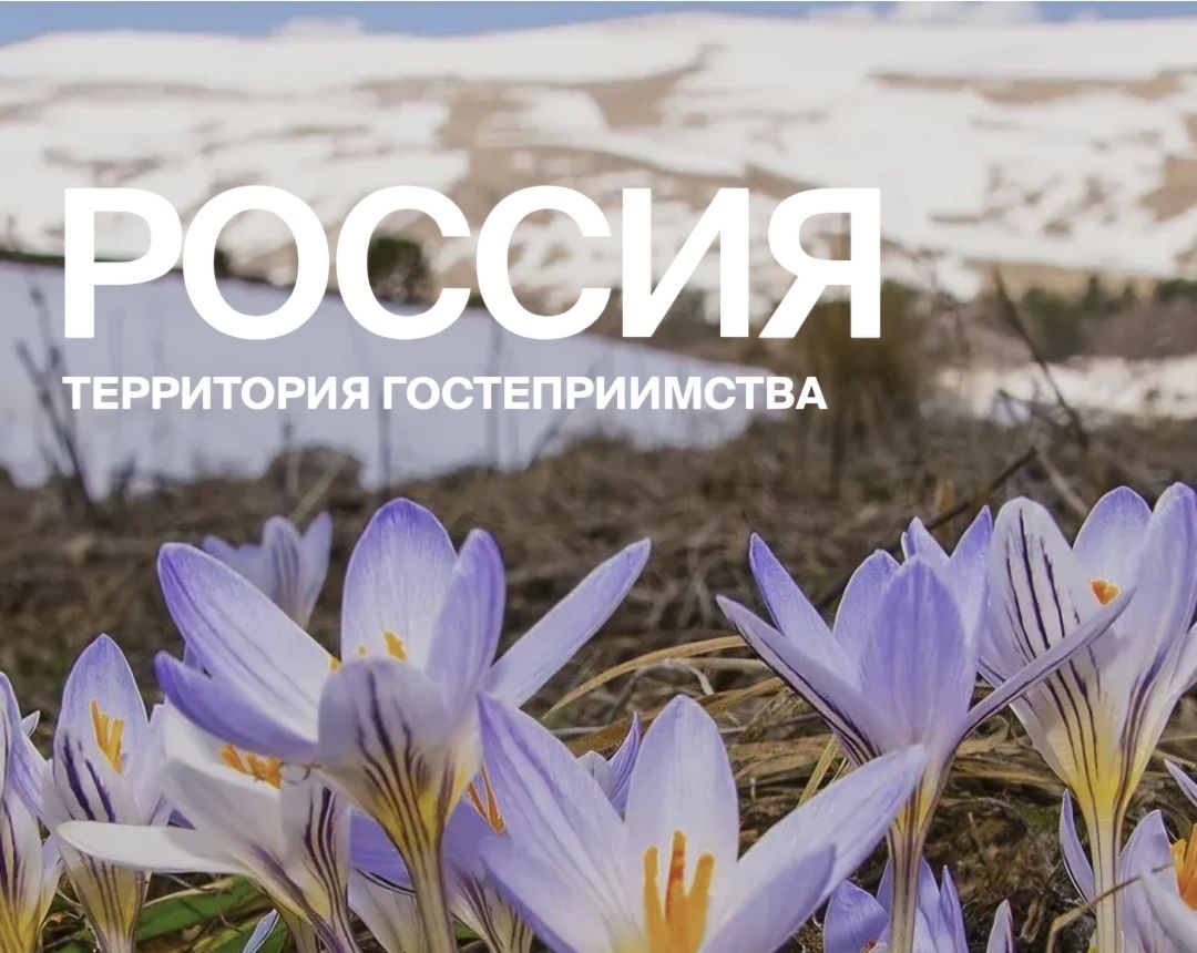 Автопутешествия по России: свобода, комфорт и яркие открытия