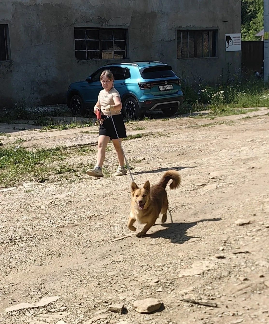 В Лениногорске в передержке для собак состоялся субботник