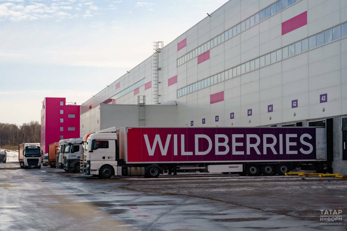 В РТ одобрили первый льготный займ для пострадавшего селлера Wildberries