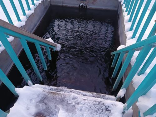 Жители Лениногорска набирают целебную воду с родника в лесопарке