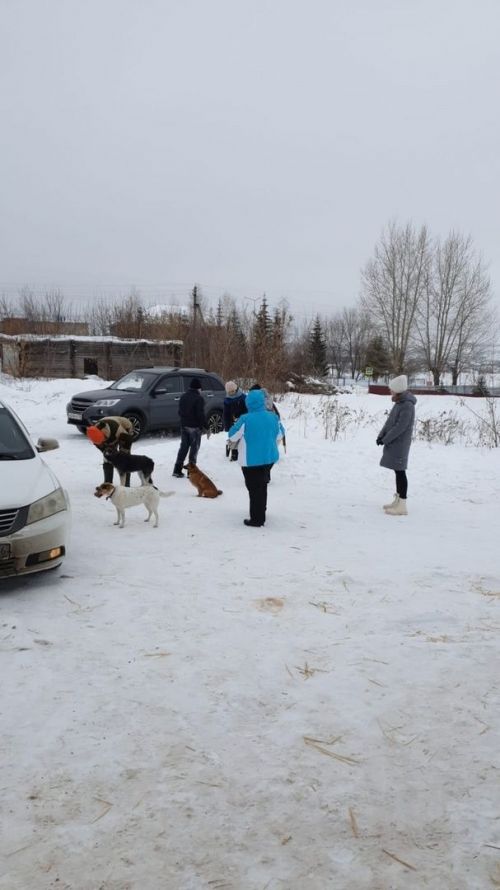 Юные лениногорцы покормили и погуляли с собаками в приюте «Верный друг»