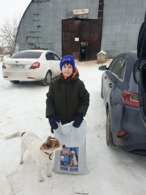 Юные лениногорцы покормили и погуляли с собаками в приюте «Верный друг»