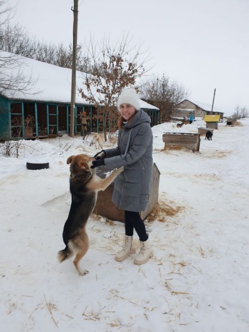 Юные лениногорцы покормили и погуляли с собаками в приюте «Верный друг»