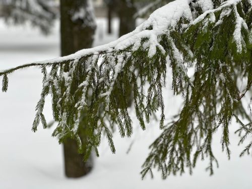 Прогноз погоды на 28 декабря для лениногорцев