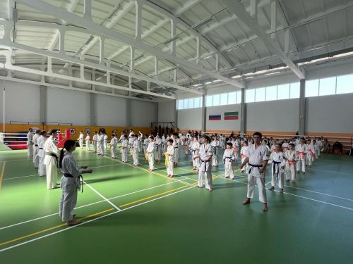 Лениногорские каратисты приняли участие в семинаре