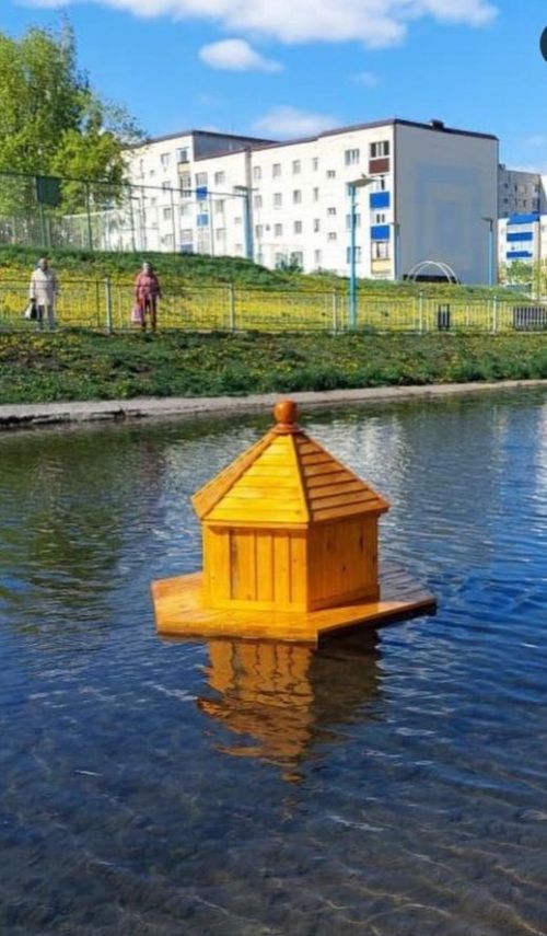 Школьник из Лениногорска построил дом для местных уток