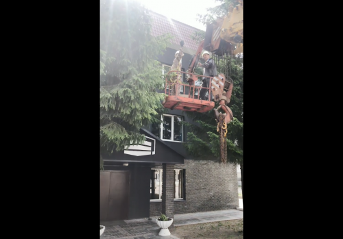 В Лениногорске спасли совенка, выпавшего из гнезда, и назвали его Юрий Гагарин