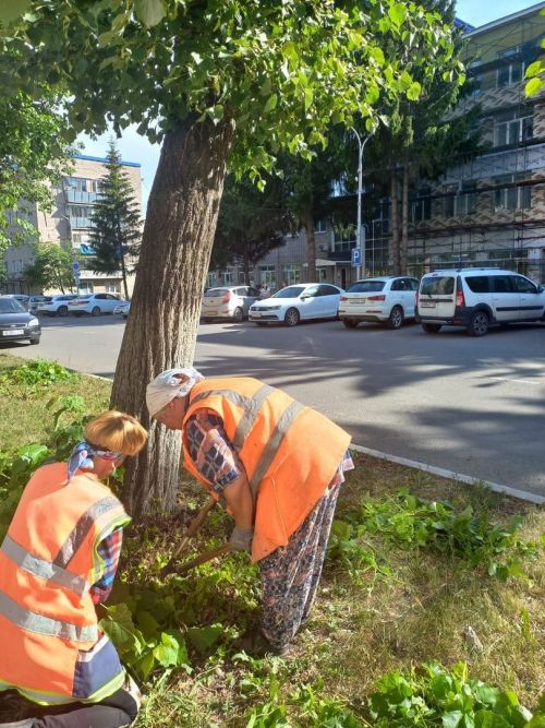 В Лениногорске продолжается работа по благоустройству города