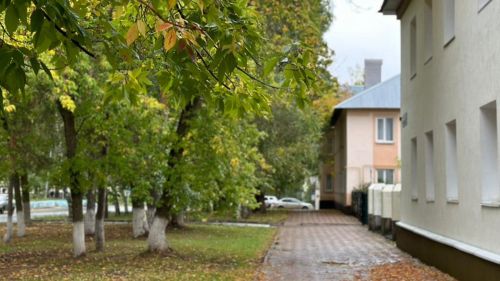 Прогноз погоды для лениногорцев на 13 сентября