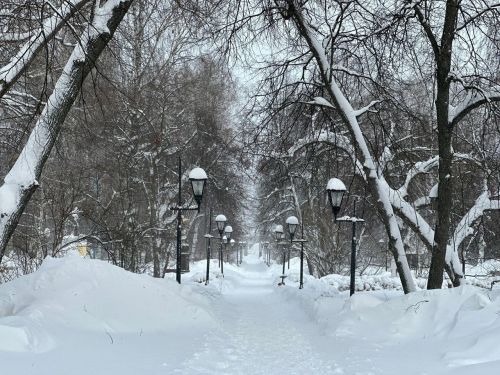 Прогноз погоды на 18 января для лениногорцев