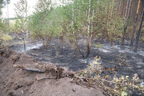 В Лениногорском районе введен особый противопожарный режим