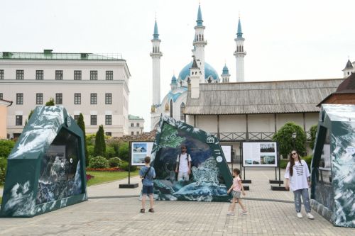 Увидеть мир глазами ирбиса через VR: в Казани открыли выставку о снежном барсе
