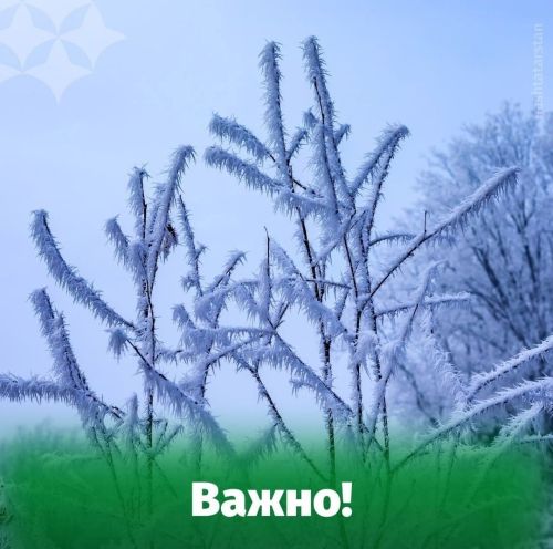 Предупреждение для водителей об изменениях погодных условий