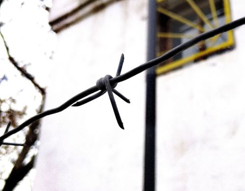 Освободившуюся заключенную поймали за кражу денег с карты жителя Бугульмы