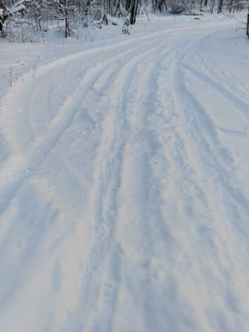 В Лениногорске водители квадроциклов портят лыжню