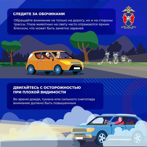 Как избежать столкновения с дикими животными на загородных трассах?