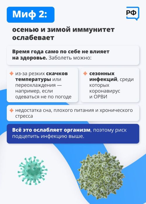 Как укрепить иммунитет? 6 мифов