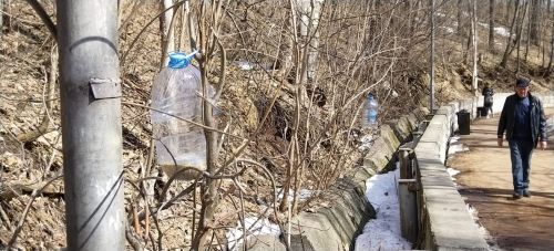В Лениногорске любовь к бездомным животным привела к захламлению лесопарка