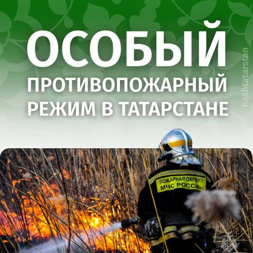 С 14 апреля по 11 мая в Татарстане введен противопожарный режим