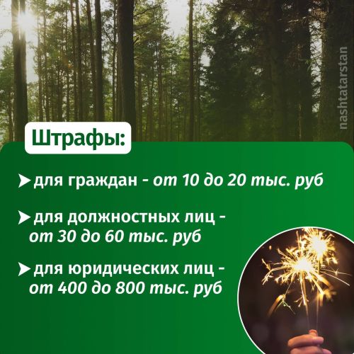 С 14 апреля по 11 мая в Татарстане введен противопожарный режим