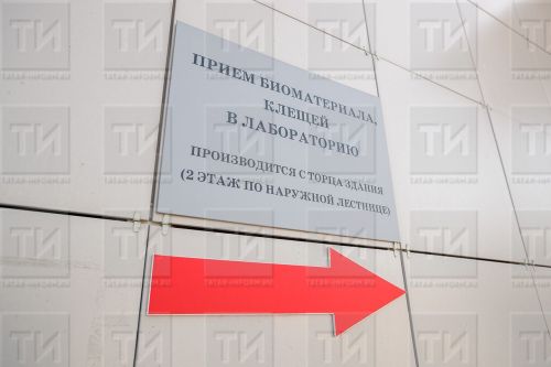 Как защитить детей от укусов клещей?