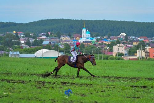 Масштабный и яркий Сабантуй отметили сегодня в Свердловской области