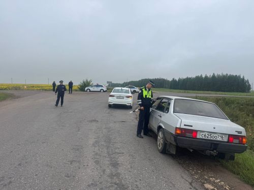 За 10 дней сотрудники Госавтоинспекции Лениногорска выявили 60 нарушителей ПДД