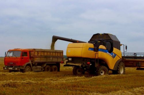 В Татарстане убрано 79% зерновых культур
