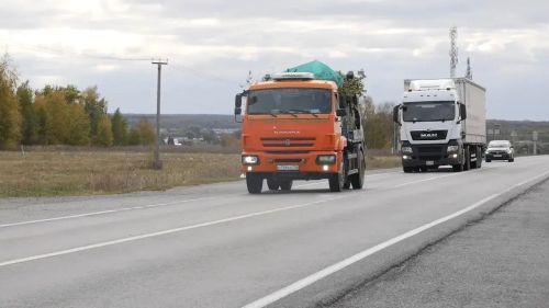 Начальник ГАИ Лениногорска рассказала, почему водители большегрузов закрывают номера